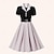 voordelige Historische &amp; vintage kostuums-Retro vintage Jaren &#039;50 Jurken A-lijn jurk Swing Jurk Dames Stip Strijkijzer Afspraakje Kleding