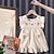 Χαμηλού Κόστους Παιδιά-κοριτσίστικο φόρεμα με μανίκια φουσκωτό για καλοκαιρινό ντύσιμο δαντέλα κοντομάνικο παιδικό καλοκαιρινό φόρεμα με συνδυαστικό σετ αξεσουάρ μαλλιών