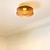 levne Vestavná světla-stropní světlo kávové barevné sklo stropní lampa 20/28/38cm pro strop světle hnědá polovina století blízko stropu světlo do obývacího pokoje ložnice kuchyně jídelna 110-240v