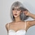 cheap Synthetic Trendy Wigs-Synthetic Wig Uniforms Career Costumes Princess Straight kinky Straight Middle Part Layered Haircut Machine Made Wig 14 inch Silver grey Synthetic Hair Women&#039;s Cosplay Party Fashion Gray