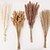 cheap Down to $30-110 pcs Pampas With White Dried Rabbit Tail Flowers Boho Style Decoration Pampas Grass Bathroom Decoration Bathroom Wall Decor Wedding Vase For Bride And Bridesmaids Living Room Decoration Party Decor
