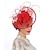 voordelige Historische &amp; vintage kostuums-Retro vintage Jaren &#039;50 Jaren 1920 Fascinators hoed Sluier hoofdband Hoofddeksels Bruids Dames Carnaval Evenement / Feest Hoofddeksels