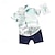 billiga Kläder för pojkar-2 delar Småbarn Pojkar T-shirt och shorts Utrusta Grafisk Kortärmad Uppsättning Utomhus Mode Sommar Vår 1-3 år gammal Ljusblå Vit Gul