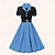 voordelige Historische &amp; vintage kostuums-Retro vintage Jaren &#039;50 Jurken A-lijn jurk Swing Jurk Dames Stip Strijkijzer Afspraakje Kleding