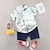 billige Sett-2 deler Baby Gutt T-skjorter og shorts Antrekk Grafisk Kortermet Sett utendørs Mote Sommer Vår 1-3 år gammel Lyseblå Hvit Gul