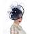 voordelige Historische &amp; vintage kostuums-Retro vintage Jaren &#039;50 Jaren 1920 Fascinators hoed Sluier hoofdband Hoofddeksels Bruids Dames Carnaval Evenement / Feest Hoofddeksels