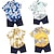voordelige Sets-2-delig Peuter Jongens T-shirt &amp; shorts Kleding Grafisch Korte mouw Set Buiten Modieus Zomer Lente 1-3 jaar oud Licht Blauw Wit Geel
