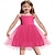 cheap Party Dresses-Toddler Tutu Dress Little Girl Ruffled Tulle Cami Dresses Princess Party Sundress for 2-6 Years