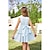 cheap Party Dresses-Girls Party Dress Sleeveless Formal Dual-Layer Dresses Size 5-12