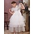 Χαμηλού Κόστους Φορέματα για πάρτι-Παιδιά Κοριτσίστικα Φόρεμα Συμπαγές Χρώμα Αμάνικο Επέτειος Μοντέρνα Πολυεστέρας Καλοκαίρι Άνοιξη Φθινόπωρο 4-13 χρόνια Μαύρο Λευκό Βυσσινί