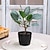 economico Fiori finti &amp; Vasi-eleva l&#039;arredamento della tua casa con realistiche piante in vaso di eucalipto, portando un tocco di natura e tranquillità in qualsiasi spazio