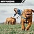 お買い得  犬用首輪＆ハーネス＆リード-2 in 1機能の犬用トレーニング首輪 &amp;引っ張り防止犬用リード IPX7 防水 &amp;トレーニングビープ振動ショック9レベルカラー