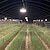 ieftine Lumini Reglabile LED-lumină led pentru creșterea plantelor imitație lumină led 36w/50w/100w pentru o cultură mai bună a legumelor 220v e27