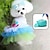 cheap Dog Clothes-Summer Dog Clothes with Dog Bath Brush  Princess Dress Teddy Bears Two legged Clothes Mesh Lace Bunny Skirt