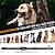 voordelige Hondenhalsbanden, tuigjes &amp; riemen-2-in-1 trainingshalsband voor honden &amp; anti-trekkende hondenriem ipx7 waterdicht &amp;Trainingspiep Trillingsschok Halsband met 9 niveaus