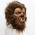 cheap Halloween Props-Werewolf Mask Halloween Props Adults&#039; Men&#039;s Women&#039;s Funny Halloween Halloween Carnival Easy Halloween Costumes