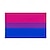 abordables Disfraces de Carnaval-LGBTQ Arco iris Bandera Adulto Hombre Mujer Homosexuales lesbiana Desfile del orgullo Mes del Orgullo Mascarada Disfraces fáciles de Halloween
