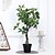 cheap Artificial Flowers &amp; Vases-Transform Your Home Decor with Realistic Money Tree Potted Plants, Symbolizing Prosperity and Adding a Touch of Natural Beauty to Any Space