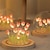 رخيصةأون ألعاب عصرية-زهرة التوليب الاصطناعية ضوء الليل اليدوية لتقوم بها بنفسك مصباح السرير LED مصباح الليل ديكور غرفة النوم هدايا عيد الميلاد عيد الميلاد الجدول مصباح