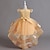 Χαμηλού Κόστους Φορέματα για πάρτι-Παιδιά Κοριτσίστικα Φόρεμα Φόρεμα για πάρτυ Συμπαγές Χρώμα Πούλια Κοντομάνικο Ειδική Περίσταση Γενέθλια Πριγκίπισσα Πανεμορφη Πολυεστέρας Δίχτυ Καλοκαίρι Άνοιξη Φθινόπωρο 4-12 χρόνια