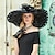preiswerte Faszinator-Fascinator-Hüte Organza-Schlapphut Sonnenhut Hochzeit Teeparty elegante Hochzeit mit Federspitze seitlich Kopfbedeckung Kopfbedeckung