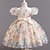 Χαμηλού Κόστους Φορέματα-Νήπιο Κοριτσίστικα Φόρεμα για πάρτυ Γραφική Πεταλούδα Κοντομάνικο Γάμου Πάρτι Ενεργό Πριγκίπισσα Πολυεστέρας Καλοκαίρι Άνοιξη 3-7 Χρόνια Σαμπανιζέ