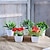 abordables Fleurs artificielles et vases-Mini plantes artificielles en pot 5 pièces/ensemble, ensemble de fausses plantes réalistes pour la décoration de la maison et du bureau