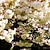 abordables Floral &amp; Plants Fond d&#039;écran-Papiers peints cool papier peint nature papier peint fleur de cerisier rouleau autocollant peel stick amovible matériau pvc/vinyle auto-adhésif/adhésif requis décoration murale pour salon cuisine