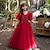 Χαμηλού Κόστους Φορέματα για πάρτι-Παιδιά Κοριτσίστικα Φόρεμα Φόρεμα για πάρτυ Συμπαγές Χρώμα Κοντομάνικο Γάμου Επέτειος Κομψό Πριγκίπισσα Πολυεστέρας Δίχτυ Μακρύ Φόρεμα για πάρτυ Φόρεμα τούλι Καλοκαίρι Άνοιξη Φθινόπωρο 3-12 χρόνια