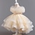 Χαμηλού Κόστους Φορέματα για πάρτι-Παιδιά Κοριτσίστικα Φόρεμα για πάρτυ Φλοράλ Αμάνικο Γάμου Ειδική Περίσταση Δίχτυ Λατρευτός Γλυκός Βαμβάκι Πολυεστέρας Ασύμμετρο Φόρεμα για πάρτυ Καλοκαίρι Άνοιξη Φθινόπωρο 4-13 χρόνια
