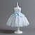 cheap Dresses-Toddler Girls&#039; Party Dress Floral Sleeveless Performance Wedding Zipper Princess Polyester Knee-length Summer Spring 1-3 Years Pink Light Blue