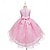 Χαμηλού Κόστους Φορέματα για πάρτι-Παιδιά Κοριτσίστικα Φόρεμα Φόρεμα για πάρτυ Συμπαγές Χρώμα Λουλούδι Αμάνικο Γάμου Γενέθλια Κομψό Πριγκίπισσα Δίχτυ Δαντέλα Μίντι Δαντέλα Καλοκαίρι Άνοιξη Φθινόπωρο 2-13 χρόνια