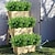 voordelige Kunstbloemen-10 takken kunstplanten voor buiten 7-stengel eucalyptus en geldbladboeket: kunstgroen voor wanddecoratie, bruiloft, tuinaanleg en evenementenachtergronden