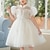 cheap Party Dresses-Kids Girls&#039; Party Dress Solid Color Short Sleeve Special Occasion Princess Sweet Polyester Summer Spring 3-12 Years White Champagne