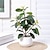 voordelige Kunstbloemen &amp; Vazen-transformeer uw woonruimte met prachtige en levensechte kunstmatige camellia-potplanten, perfect voor het toevoegen van natuurlijke schoonheid en elegantie aan uw interieur