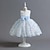 abordables Robes-Bébé Fille Robe de fête Floral Sans Manches Utilisation Mariage Zippé Princesse Polyester Mi-long Eté Printemps 1-3 ans Rose Claire Bleu clair