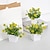 cheap Artificial Flowers &amp; Vases-Simulation Potted Dandelion and Money Leaf: Suitable for Business Offices, Living Rooms, Desktops, Entryways, Bookshelves, Gardens, Courtyards; Floral Home Decoration