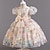 Χαμηλού Κόστους Φορέματα-Νήπιο Κοριτσίστικα Φόρεμα για πάρτυ Γραφική Πεταλούδα Κοντομάνικο Γάμου Πάρτι Ενεργό Πριγκίπισσα Πολυεστέρας Καλοκαίρι Άνοιξη 3-7 Χρόνια Σαμπανιζέ
