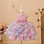 cheap Party Dresses-Kids Girls&#039; Party Dress Rainbow Flower Sleeveless Special Occasion Princess Polyester Party Dress Summer Spring 3-12 Years Multicolor Pink Light Blue