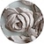 abordables papel pintado escultura-Papel pintado fresco 3D flor blanca papel pintado mural de pared adhesivo despegar y pegar material de PVC/vinilo extraíble autoadhesivo/adhesivo necesario decoración de pared para sala de estar