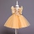 Χαμηλού Κόστους Φορέματα για πάρτι-Παιδιά Κοριτσίστικα Φόρεμα Φόρεμα για πάρτυ Συμπαγές Χρώμα Πούλια Λουλούδι Κοντομάνικο Γάμου Ειδική Περίσταση Πανεμορφη Γλυκός Πολυεστέρας Δίχτυ Μίντι Καλοκαίρι Άνοιξη Φθινόπωρο 2-9 χρόνια