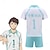 cheap Anime Costumes-Inspired by Haikyuu Oikawa Tooru Anime Cosplay Costumes Japanese Carnival Cosplay Suits Short Sleeve Shorts T-shirt For Men&#039;s Women&#039;s