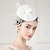 billiga Hattar och fascinators-pannband fascinators hattar sinamay bowler / cloche hatt fat hatt pillbox hatt bröllop tefest elegant bröllop med fjäder blommig huvudbonad huvudbonad