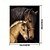 billige maling, tegning og kunstutstyr-DIY akryl malesett hester oljemaling etter tall på lerret for voksne unik gave hjemmeinnredning 20 * 16 tommer