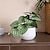 abordables Fleurs artificielles et vases-Transformez votre décoration d&#039;intérieur avec des arrangements réalistes de plantes artificielles en pot, ajoutant une beauté naturelle et de la verdure à n&#039;importe quel espace.
