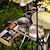 preiswerte Grills für Kochen im Freien-Titan-Sierra-Becher – leichter Titan-Campingbecher mit Messlinien – langlebiges Kochgeschirr für Campingbedarf – Küchenutensilien für Camping und Wandern &amp;Rucksackreisen