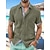 tanie Koszule bawełniane i lniane-Męskie lniana koszula Codzienna koszula Letnia koszula Koszula plażowa Biały Niebieski Zielony Krótki rękaw Równina Klapa Wiosna i lato Hawajskie Święto Odzież Przednia kieszeń