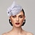 cheap Fascinators-Fascinators Headpiece Net Saucer Hat Wedding Horse Race Ladies Day With Floral Flower Headpiece Headwear