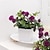 ieftine Flori Artificiale &amp; Vase-simulare păpădie în ghiveci și frunză de bani: potrivit pentru birouri de afaceri, sufragerie, birouri, intrări, rafturi, grădini, curți; decoratiuni florale pentru casa