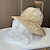 זול כובעים וקישוטי שיער-מפגשים כובעים ביגוד לראש פּוֹלִיאֶסטֶר טול כובע דלי כובע עם שוליים רחבים כובע שמש חגים חוף אלגנטית רטרו עם נוצות דמוי פנינה כיסוי ראש כיסוי ראש